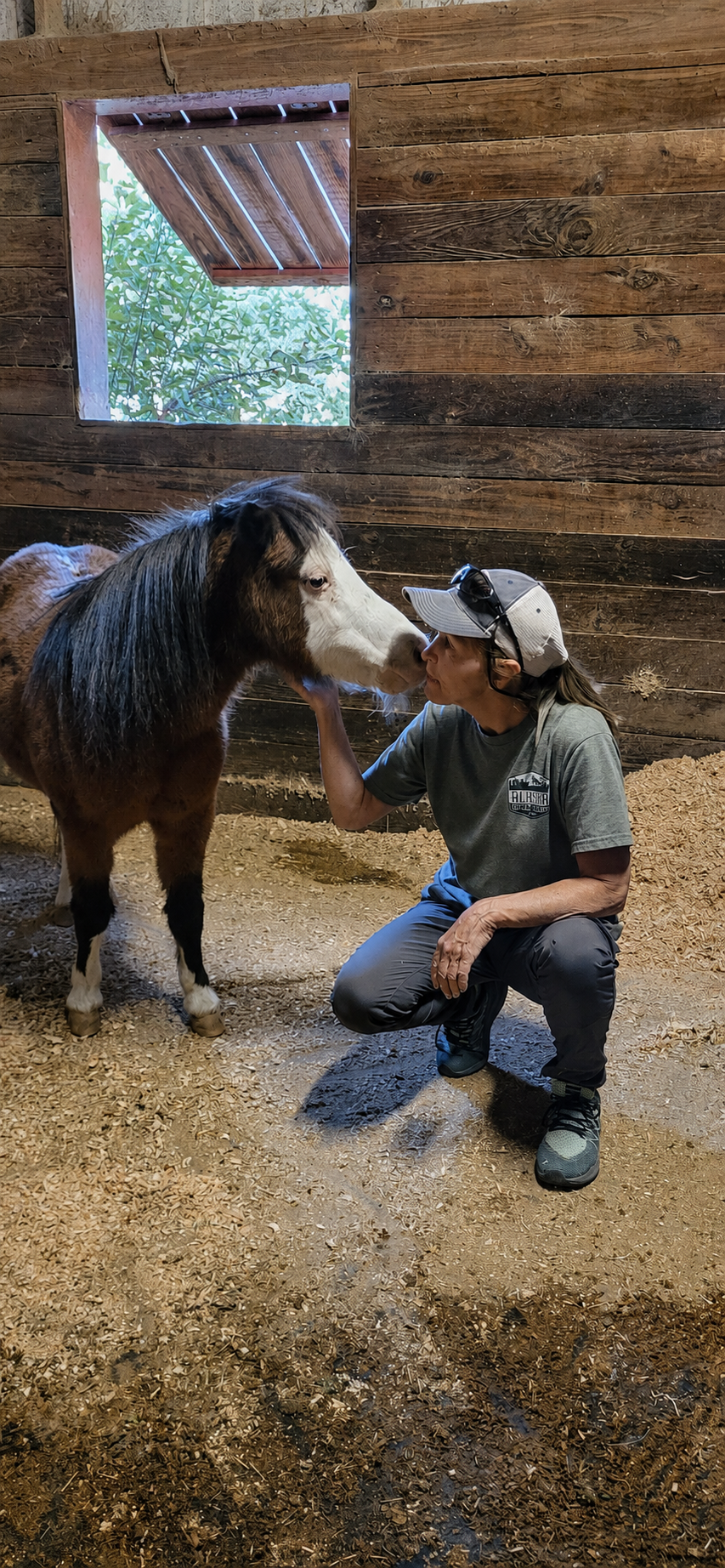 A person in a cap petting a dark pony