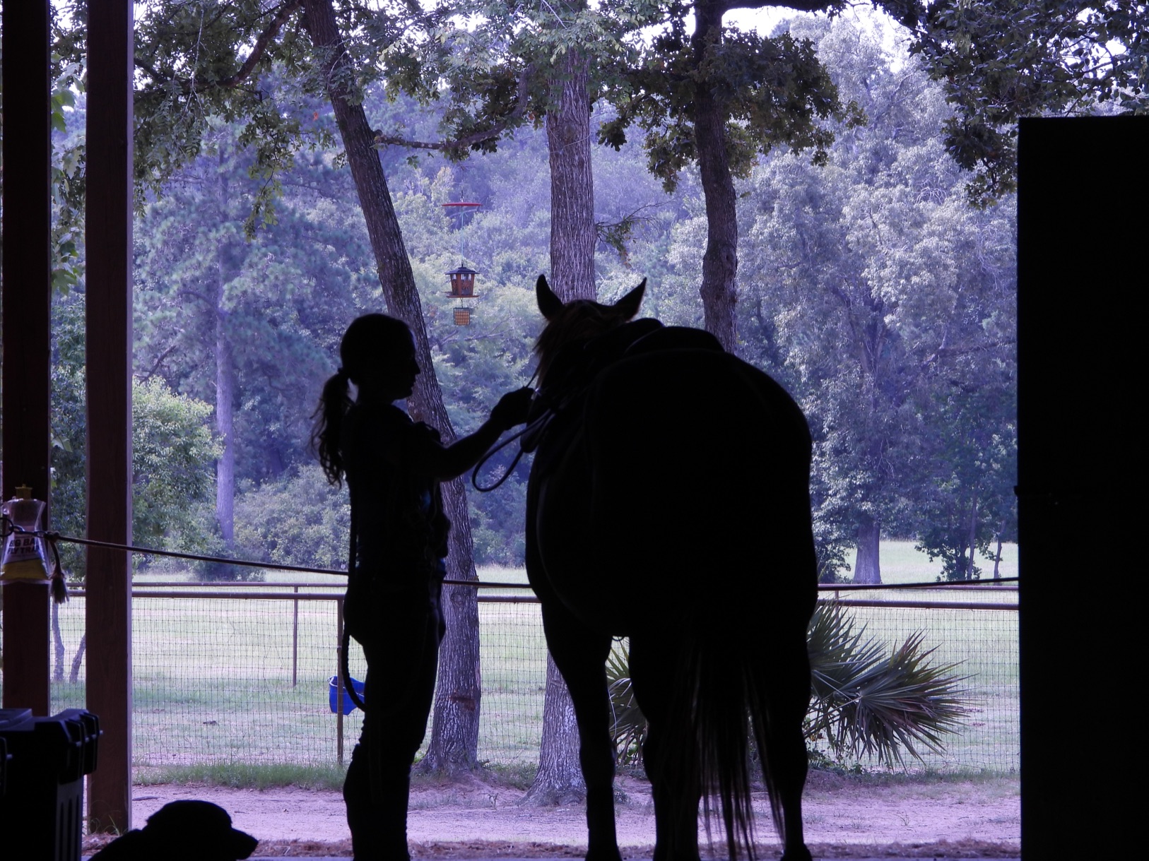 Horse and rider silhouetted in a barn doorway