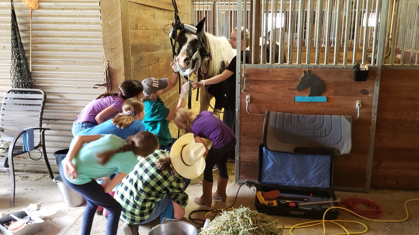 Children visiting horses in the barn