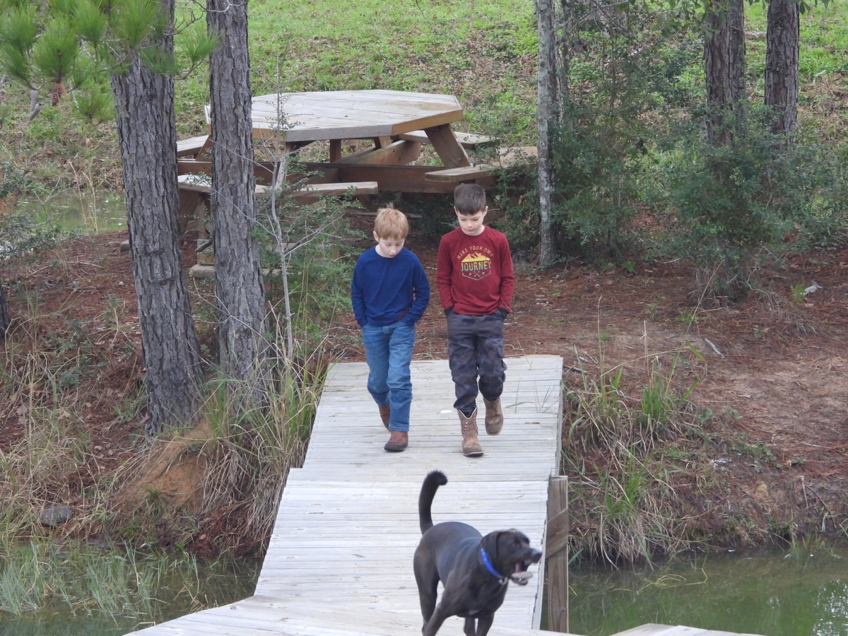 Children walking together near the pond